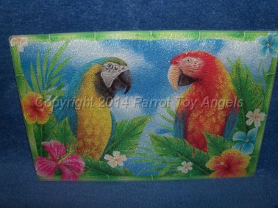 macaws cutting board.jpg - Macaws Glass Cutting Board